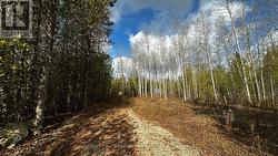 LT69-70 ISABELLA STREET  South Bruce Peninsula, ON N0H 2T0