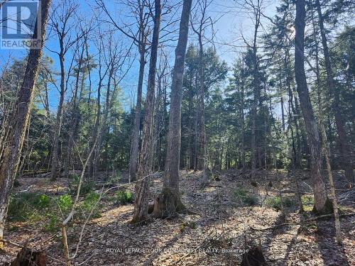 1282 Highway 118 Road E, Bracebridge, ON 