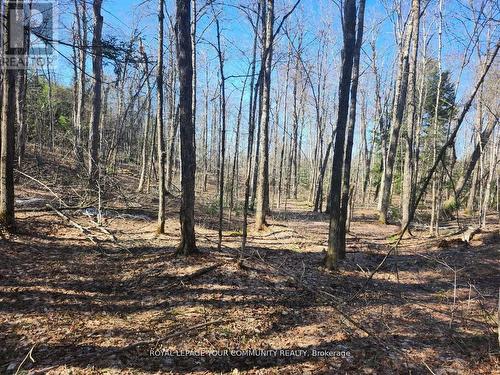 1282 Highway 118 Road E, Bracebridge, ON 