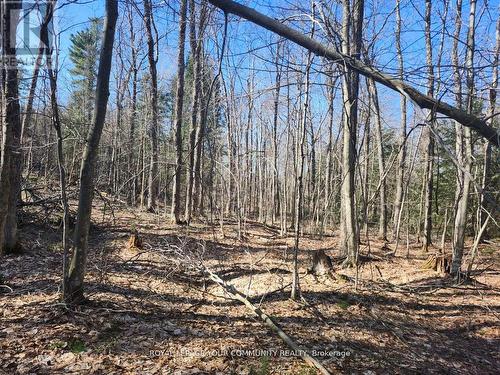 1282 Highway 118 Road E, Bracebridge, ON 