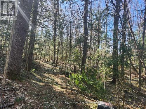 1282 Highway 118 Road E, Bracebridge, ON 