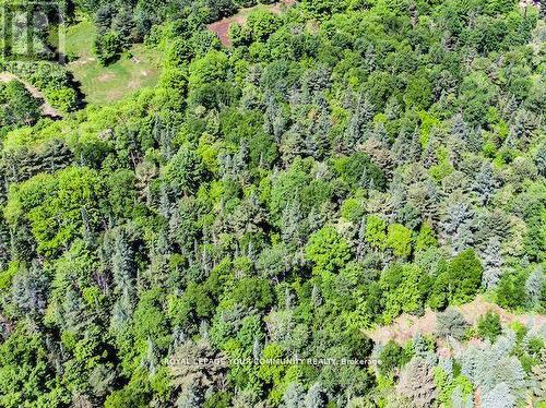 N/A Uffington Road, Bracebridge, ON 