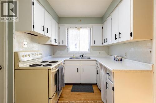 1525 Windermere Road, Windsor, ON - Indoor Photo Showing Kitchen With Double Sink