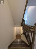 Basement Stairs - 