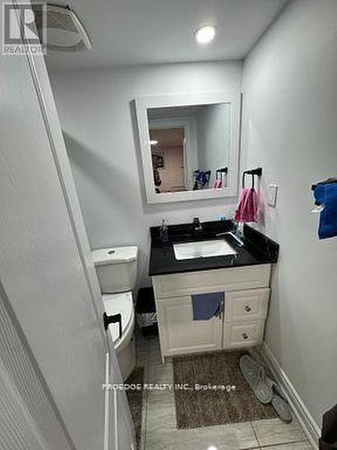 Bsmt - 18 Fireside Drive, Brampton, ON - Indoor Photo Showing Bathroom