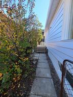 SIDE YARD - 