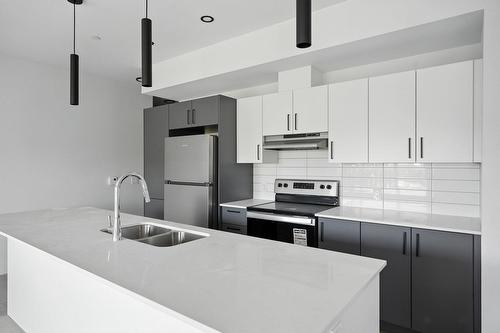 Cuisine - 104-312 Ch. Freeman, Gatineau (Hull), QC - Indoor Photo Showing Kitchen With Double Sink With Upgraded Kitchen