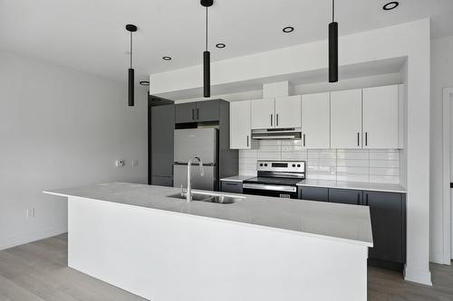 Cuisine - 104-312 Ch. Freeman, Gatineau (Hull), QC - Indoor Photo Showing Kitchen With Double Sink With Upgraded Kitchen