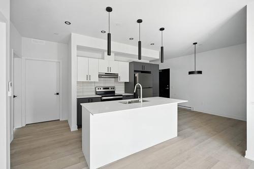 Cuisine - 202-312 Ch. Freeman, Gatineau (Hull), QC - Indoor Photo Showing Kitchen With Double Sink With Upgraded Kitchen