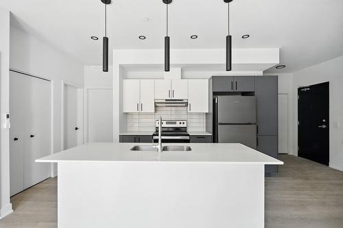 Cuisine - 202-312 Ch. Freeman, Gatineau (Hull), QC - Indoor Photo Showing Kitchen With Double Sink With Upgraded Kitchen