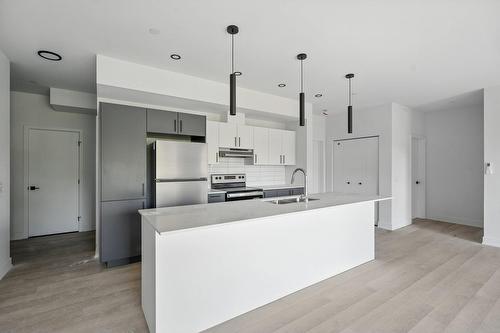 Cuisine - 204-312 Ch. Freeman, Gatineau (Hull), QC - Indoor Photo Showing Kitchen With Double Sink With Upgraded Kitchen