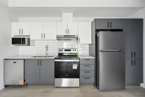 Cuisine - 301-312 Ch. Freeman, Gatineau (Hull), QC - Indoor Photo Showing Kitchen With Double Sink