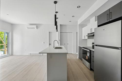 Cuisine - 302-312 Ch. Freeman, Gatineau (Hull), QC - Indoor Photo Showing Kitchen With Double Sink With Upgraded Kitchen