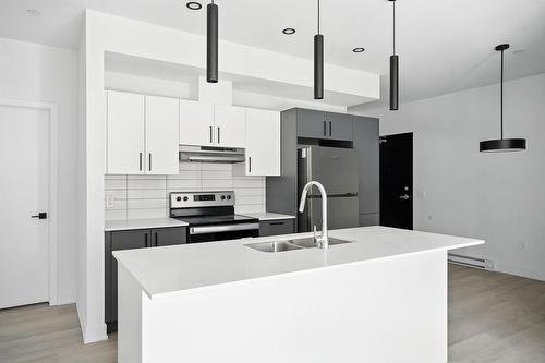 Cuisine - 302-312 Ch. Freeman, Gatineau (Hull), QC - Indoor Photo Showing Kitchen With Double Sink With Upgraded Kitchen