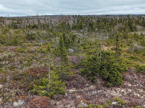 Popes Road, Charlesville, NS 