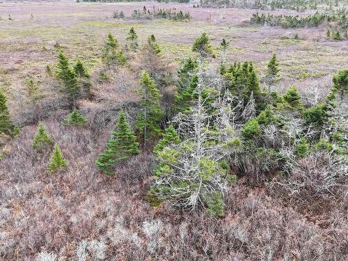 Popes Road, Charlesville, NS 