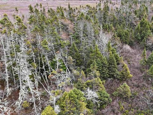 Popes Road, Charlesville, NS 