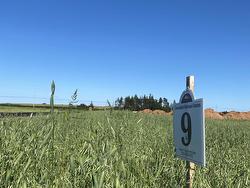 Lot 9 Brianna Street - Cavendish Horizon Estates  Cavendish, PE C0A 1N0