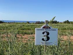 Lot 3 Brianna Street - Cavendish Horizon Estates  Cavendish, PE C0A 1N0