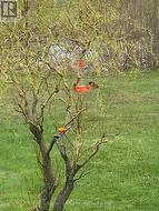 Nature at your door - 