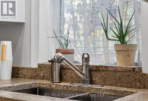 60 Howitt Street, Guelph (St. Patrick'S Ward), ON - Indoor Photo Showing Kitchen