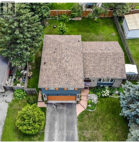 619 Willow Street, Shelburne, ON - Outdoor