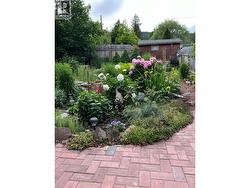 Summer Backyard Photo - 