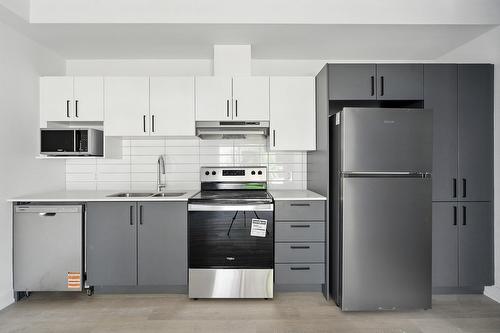 Cuisine - 406-312 Ch. Freeman, Gatineau (Hull), QC - Indoor Photo Showing Kitchen With Double Sink