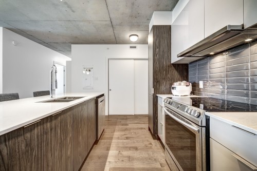 Kitchen - 210-271 Av. De L'Académie, Dorval, QC - Indoor Photo Showing Kitchen With Double Sink