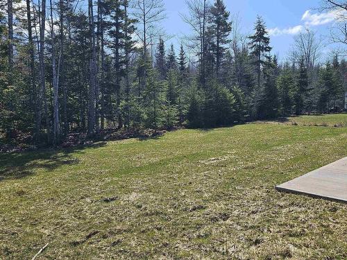 145 Blainedale Drive, Salmon River, NS 