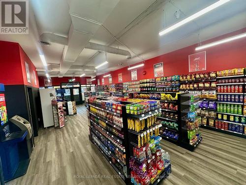 238 Queen Street S, Mississauga, ON 