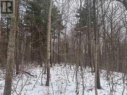 LT 45 CON 7 EBR LINDSAY  Northern Bruce Peninsula, ON N0H 1Z0