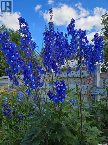 607 K Avenue N, Saskatoon, SK - Outdoor With View