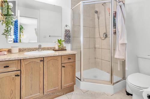 80 Palacebeach Trail, Hamilton, ON - Indoor Photo Showing Bathroom