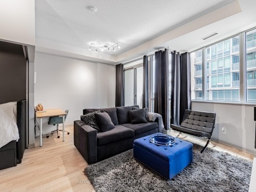 202-51 East Liberty Street, Toronto, ON - Indoor Photo Showing Living Room