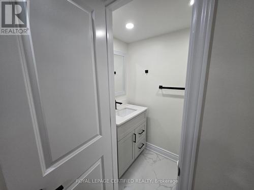 Basement - 974 Seivert Place, Milton, ON - Indoor Photo Showing Bathroom