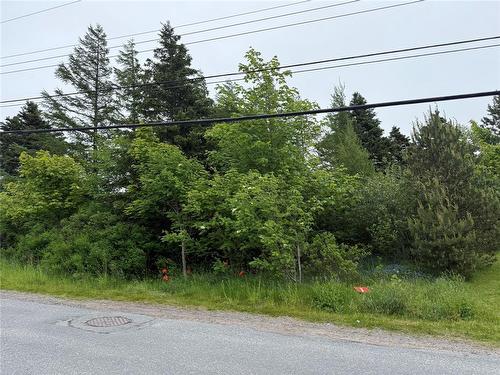 49 Back Road, Upper Island Cove, NL 