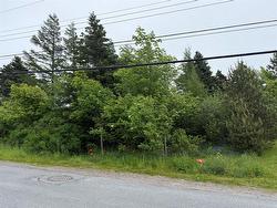 49 Back Road  Upper Island Cove, NL A0A 4E0