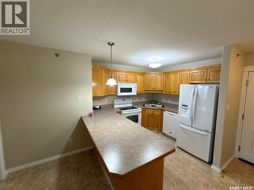 402 2909 Arens Road E, Regina, SK - Indoor Photo Showing Kitchen With Double Sink
