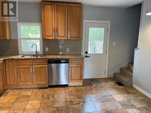 396 Macnab Street N, Hamilton, ON - Indoor Photo Showing Kitchen With Double Sink