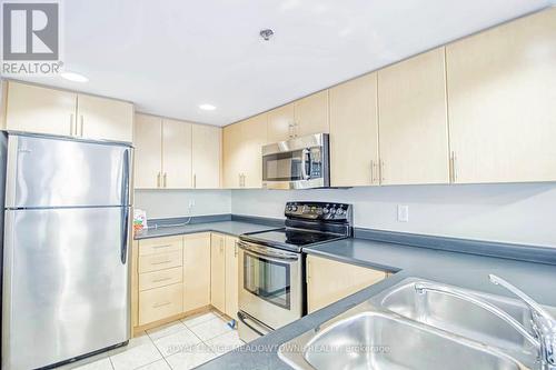 321 - 3070 Rotary Way, Burlington, ON - Indoor Photo Showing Kitchen With Stainless Steel Kitchen With Double Sink