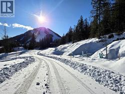 101 Topping Terrace  Rossland, BC V0G 1Y0