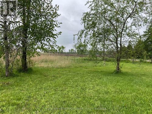 5169 First Line, Erin, ON 