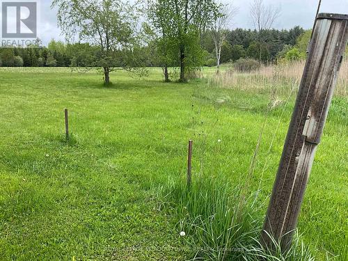 5169 First Line, Erin, ON 