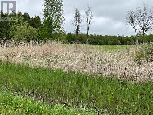 5169 First Line, Erin, ON 