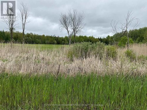 5169 First Line, Erin, ON 