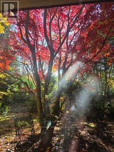 2264 Courrier Lane, Mississauga, ON - Outdoor With View