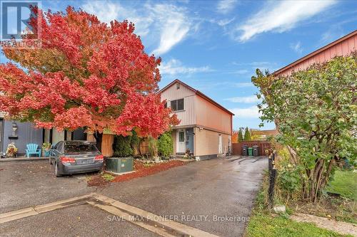 11 Great Oak Court, Brampton, ON - Outdoor