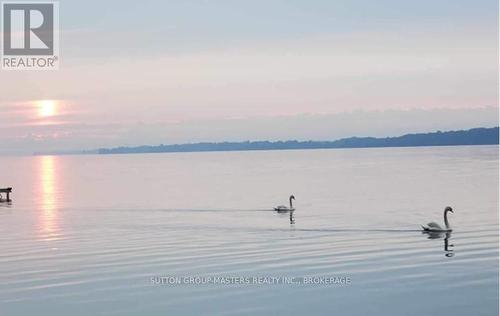 224 Bayshore Road, Greater Napanee (Greater Napanee), ON 