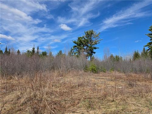 0 Crest Ave, Heathland, NB 